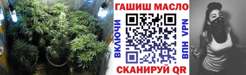 ТГК гашишное масло  даркнет сайт  Шарья 