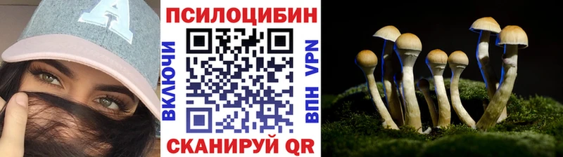 Галлюциногенные грибы Magic Shrooms  Шарья 
