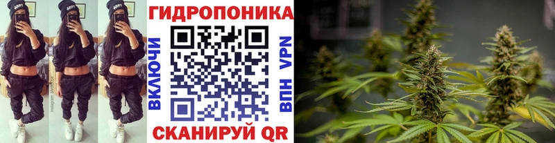 Конопля White Widow  площадка формула  Шарья 
